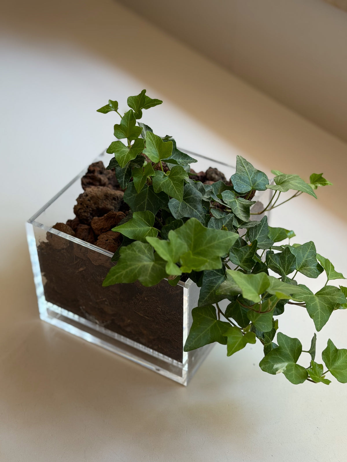 WINE & GROW